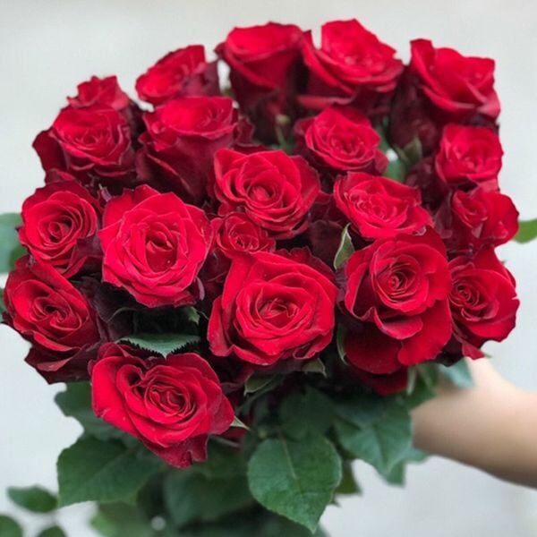 Cuộc Chiến Giữa Hoa Nội Địa và Hoa Nhập Khẩu