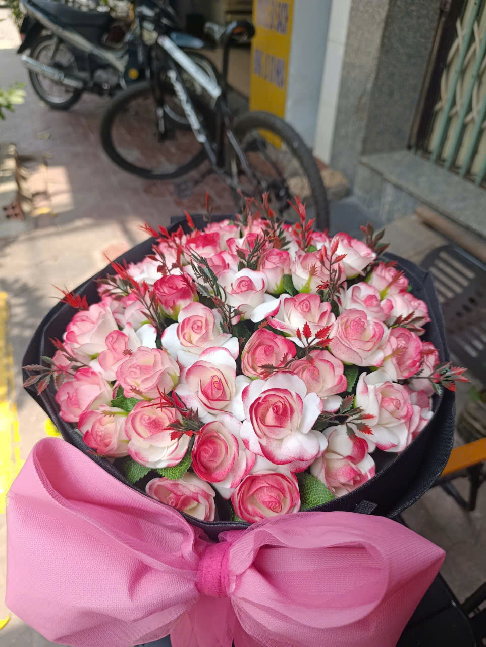 BÓ HỒNG TỶ MUỘI BÓ HỒNG TỶ MUỘI