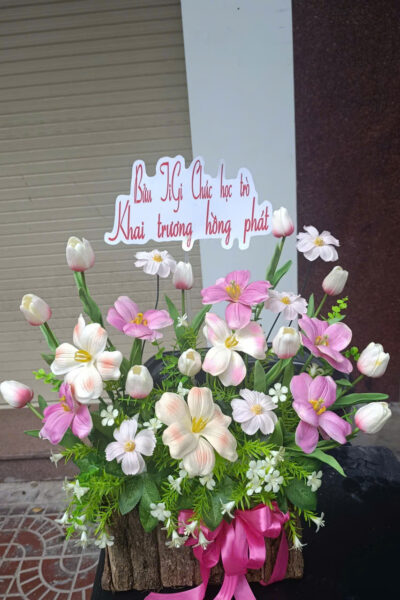 VƯỜN TUYLIP